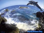 Всемирный День Океанов (World Ocean`s Day)