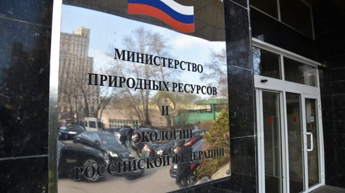 В Минприроды России ждут обращений по вопросам профильных направлений к Общероссийскому дню приёма граждан 12 декабря